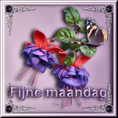 Tagen bilder