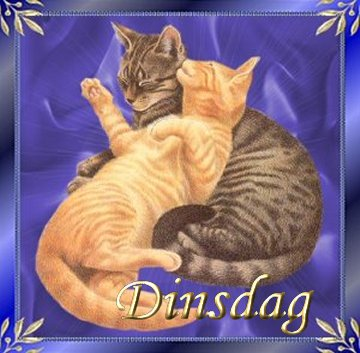 Tagen bilder