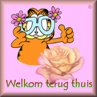 Text bilder bilder