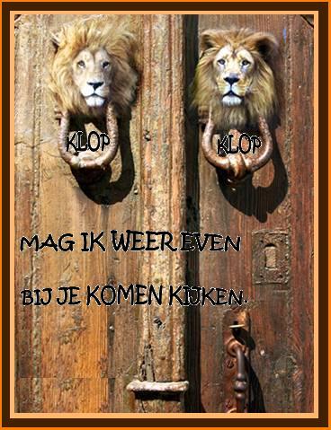 Text bilder bilder