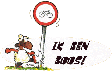 Text bilder bilder