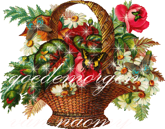 Text bilder bilder