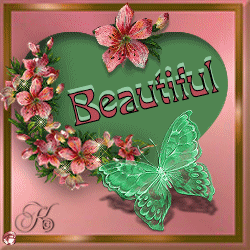 Text bilder bilder