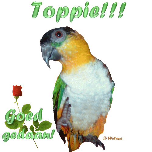 Text bilder bilder