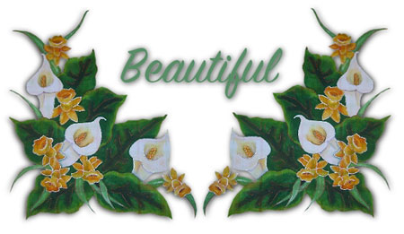 Text bilder bilder