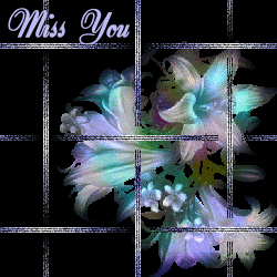 Text bilder bilder