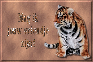 Text bilder bilder