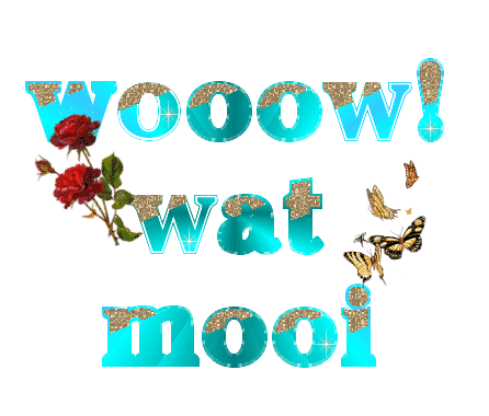 Text bilder bilder