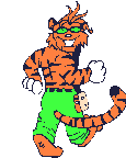 Tiger bilder