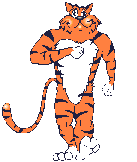 Tiger bilder