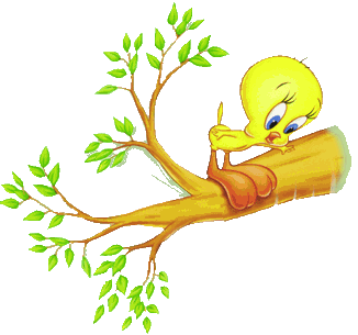 Tweety