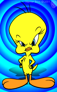 Tweety bilder