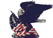 Usa bilder
