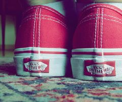 Vans bilder