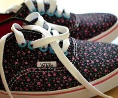 Vans bilder