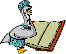 Vogel bilder