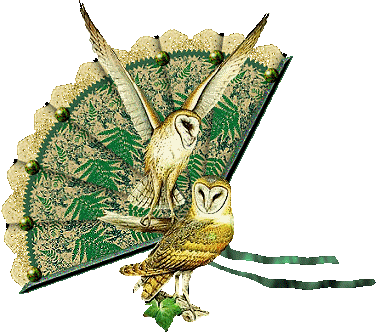Vogel bilder