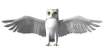 Vogel bilder
