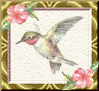 Vogel bilder