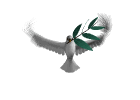 Vogel bilder
