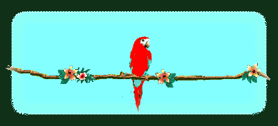Vogel bilder