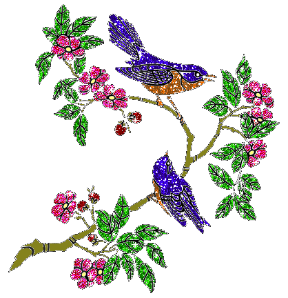 Vogel bilder