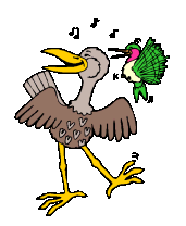 Vogel bilder