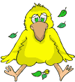 Vogel bilder