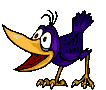 Vogel bilder