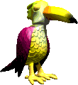Vogel bilder