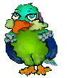 Vogel bilder