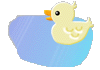 Vogel bilder