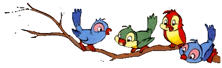 Vogel bilder