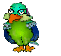Vogel bilder