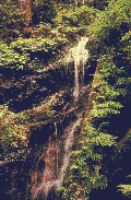 Wasserfall bilder