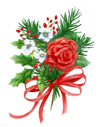 Weihnachten blumen