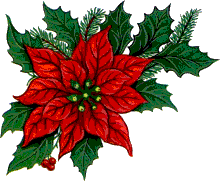 Weihnachten blumen