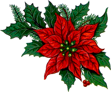 Weihnachten blumen