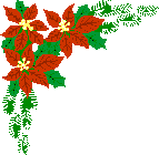 Weihnachten blumen