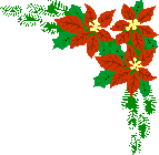 Weihnachten blumen bilder