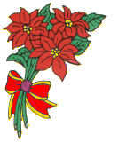 Weihnachten blumen