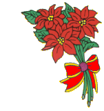 Weihnachten blumen