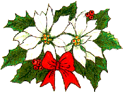 Weihnachten blumen