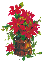 Weihnachten blumen