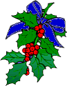 Weihnachten blumen