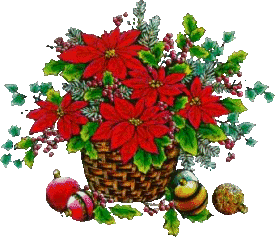 Weihnachten blumen