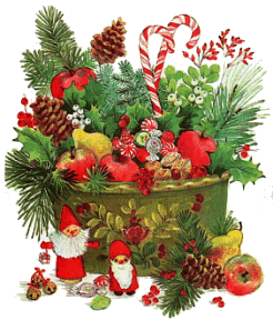 Weihnachten blumen bilder