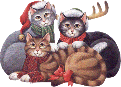 Weihnachten katzen