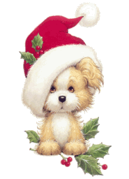 Weihnachten tiere bilder