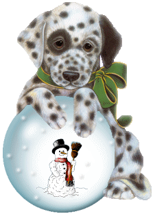 Weihnachten tiere bilder